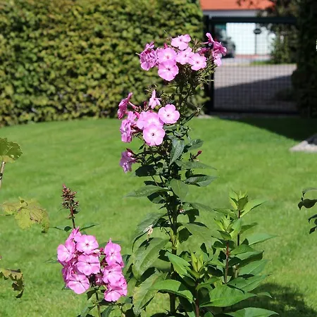 Heike Garni 3*